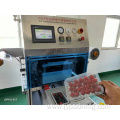 Best Quality Disposable box sealing machine